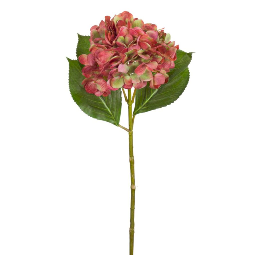 D222022S_1.jpg img